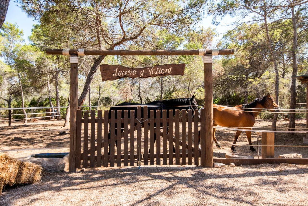 Hostal Cala Boix Es Canar  Bagian luar foto